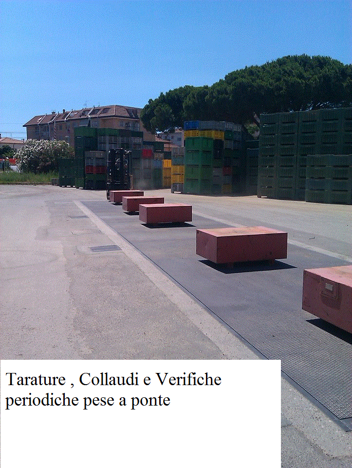 prova_pese_2